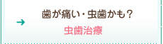 歯が痛い・虫歯かも？：一般歯科