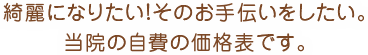 綺麗になりたい！そのお手伝いをしたい。当院の自費の価格表です