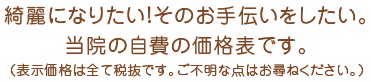 綺麗になりたい！そのお手伝いをしたい。当院の自費の価格表です。ご不明な点はお尋ねください。