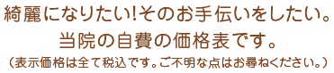 綺麗になりたい！そのお手伝いをしたい。当院の自費の価格表です。ご不明な点はお尋ねください。